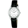 Digi Bear Seiko SSXP001 classic watch with a white dial, black Arabic numerals, and a black leather strap.